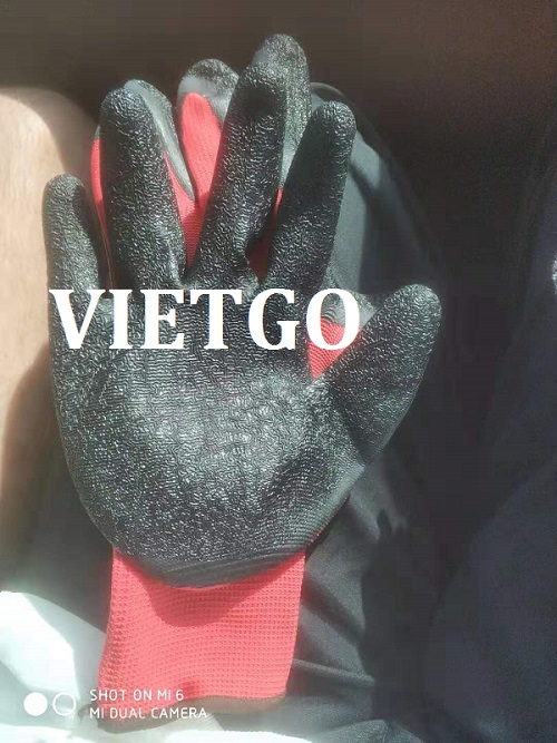 Găng tay - VIETGO