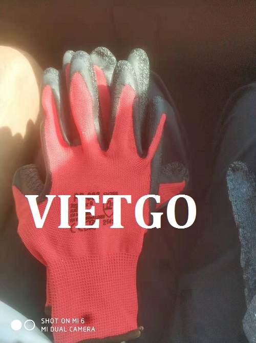 Găng tay - VIETGO