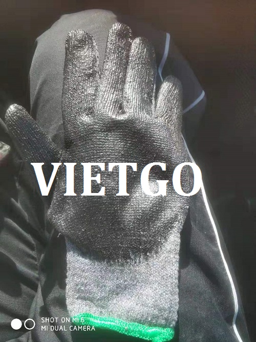 Găng tay - VIETGO