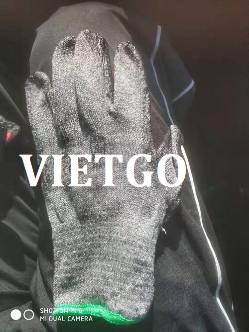 Găng tay - VIETGO