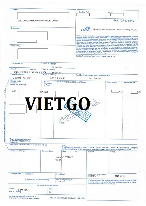 Găng tay - VIETGO