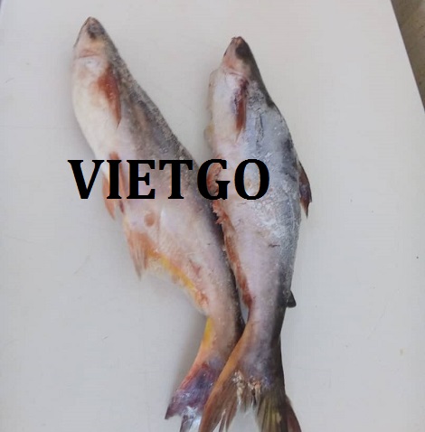 Cá tra cá rô phi - VIETGO