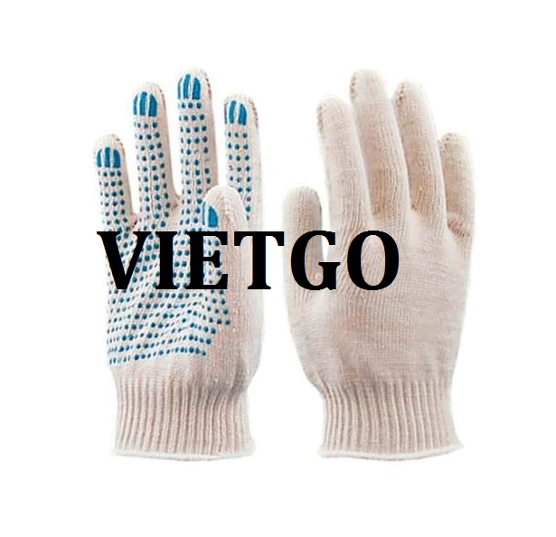 Găng tay - VIETGO