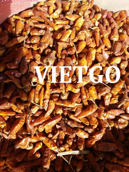 Ớt Vietgo
