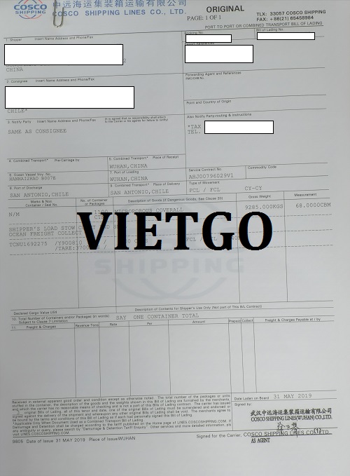 t shirt -VIETGO