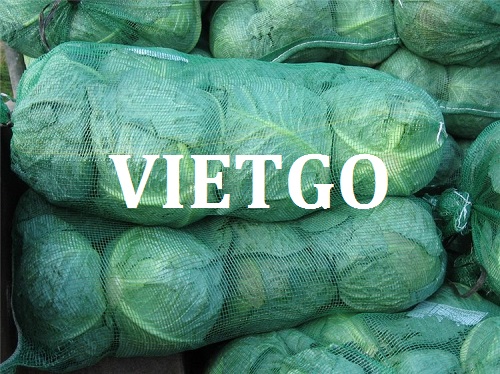 Cải bắp, rau củ đông lạnh - VIETGO Cải bắp, rau củ đông lạnh - VIETGO