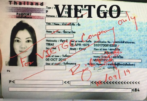 Bạch đàn gỗ vụn - VIETGO