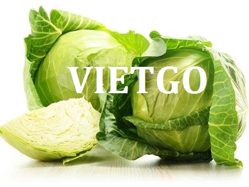 Cải bắp, rau củ đông lạnh - VIETGO