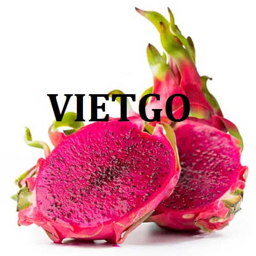 Thanh long - VIETGO