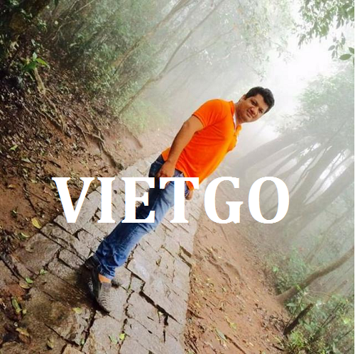 Gỗ cao su xẻ - VIETGO