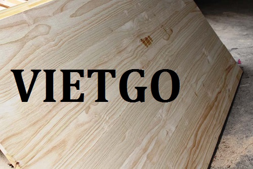gỗ dán - VIETGO