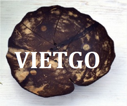 Ống hút tre - VIETGO