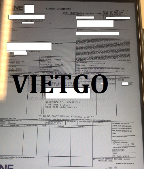 Gỗ bạch đàn tròn - VIETGO