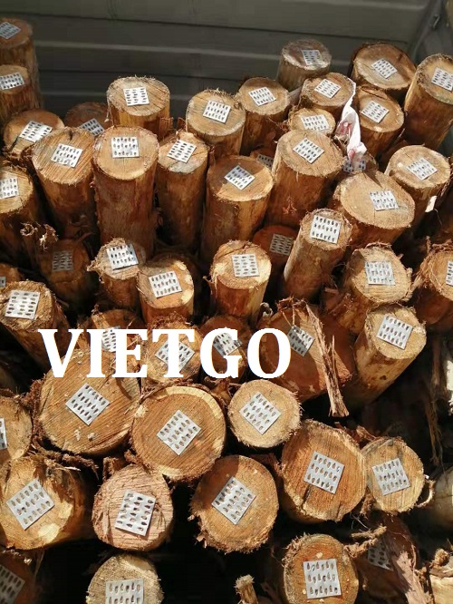 Gỗ bạch đàn tròn - VIETGO