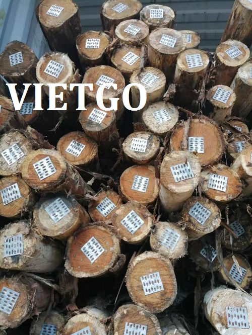 Gỗ bạch đàn tròn - VIETGO