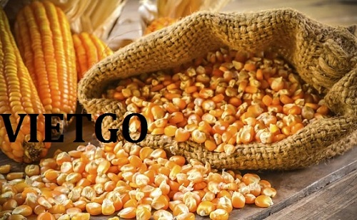 Ngô - VIETGO