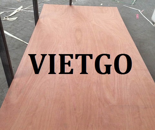 gỗ dán - VIETGO