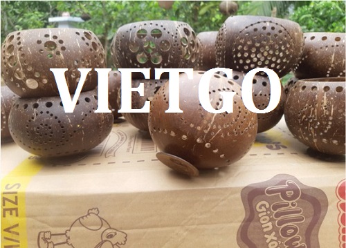 Sản phẩm từ dừa - VIETGO
