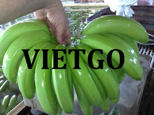Chuối - VIETGO