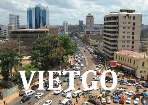 Áo polo - VIETGO Áo polo - VIETGO