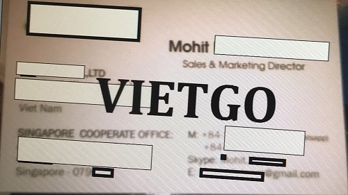Gỗ thông xẻ - VIETGO