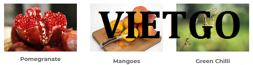 than dừa - VIETGO than dừa - VIETGO