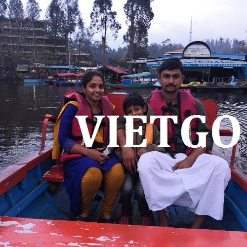 Gỗ Keo Xẻ Vietgo