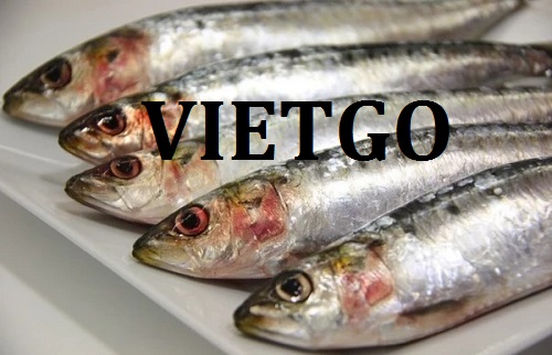 Cá mòi - VIETGO