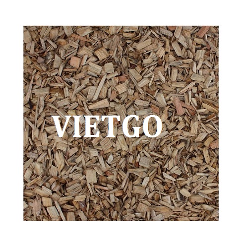 Gỗ keo vụn - VIETGO