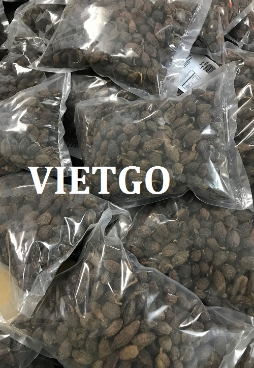 Thảo quả - VIETGO
