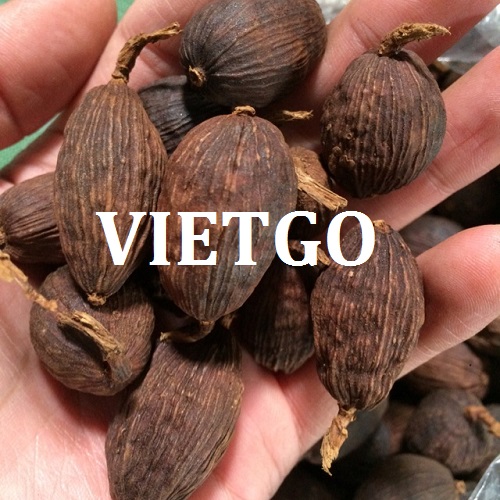 Thảo quả - VIETGO