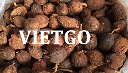Thảo quả - VIETGO