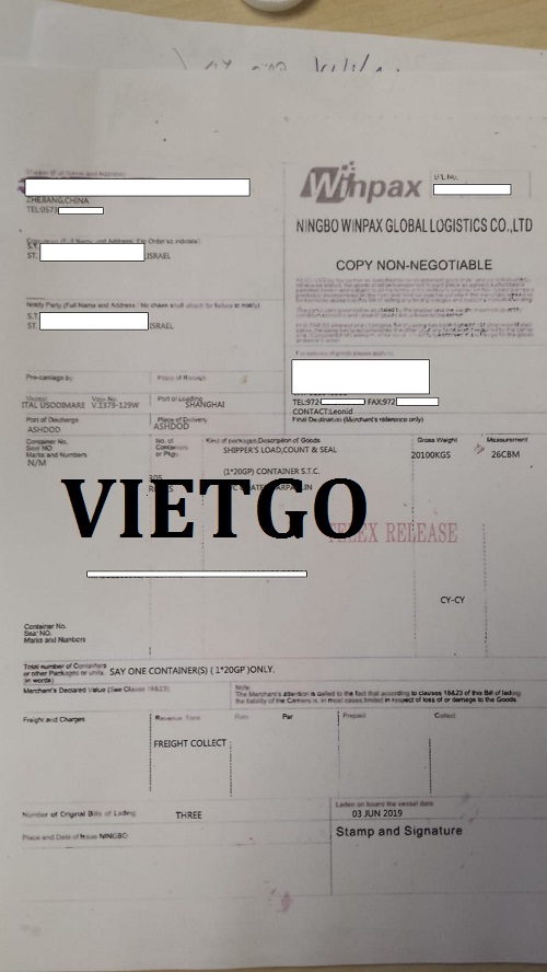 t shirt -VIETGO
