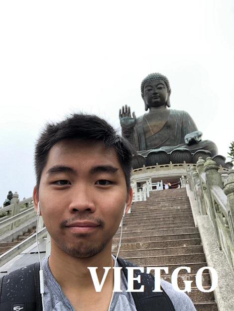 xi măng - VIETGO