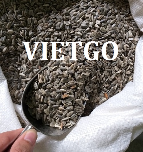 Hạt hướng dương - VIETGO