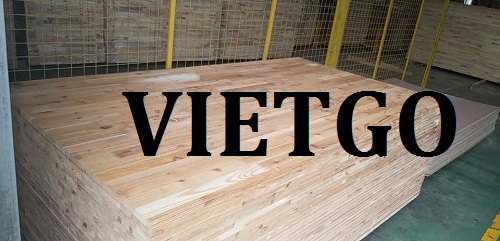 Gỗ keo ghép thanh - VIETGO