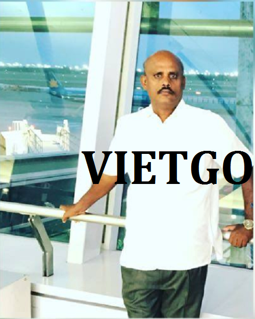Pallet gỗ thông - VIETGO