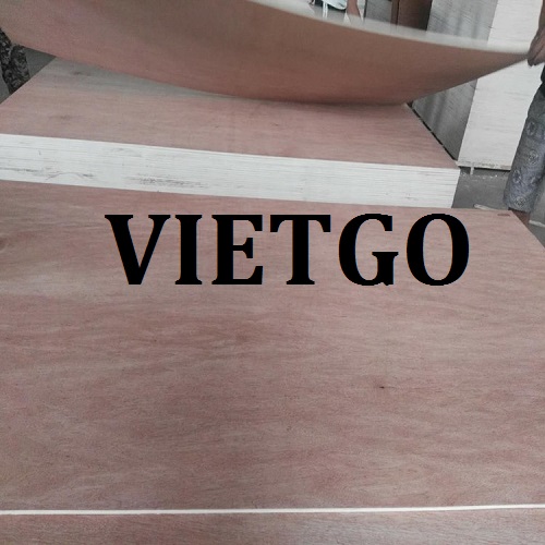 gỗ dán - VIETGO gỗ dán - VIETGO