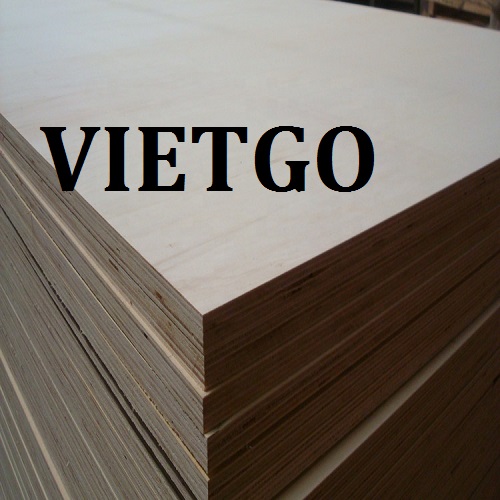 gỗ dán - VIETGO gỗ dán - VIETGO