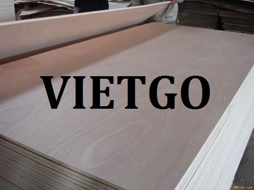 gỗ dán - VIETGO gỗ dán - VIETGO