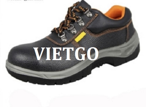 Giày bảo hộ lao động - VIETGO