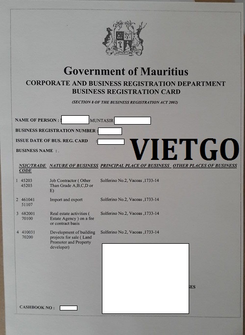 Gỗ thông xẻ - VIETGO