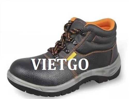Giày bảo hộ lao động - VIETGO