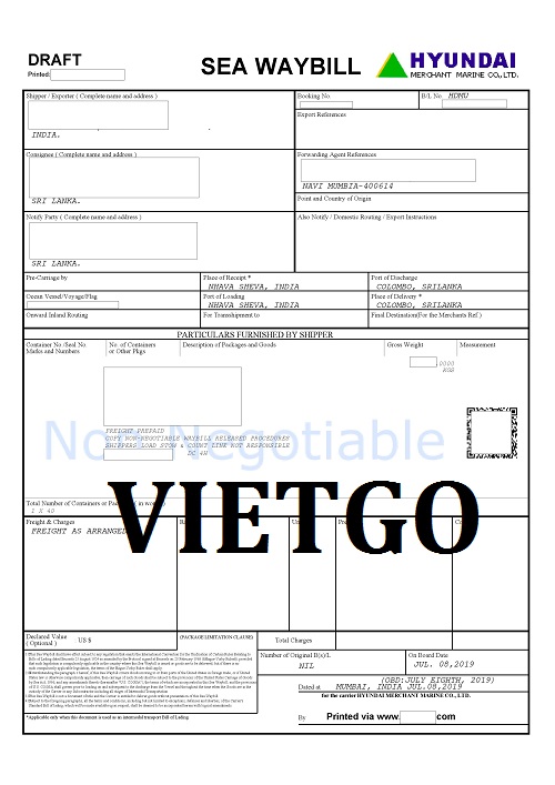 Bột lá trùm ngây - VIETGO