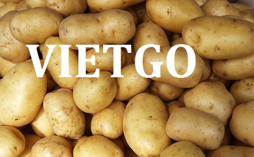 Khoai - VIETGO