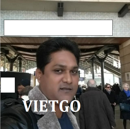 Bột lá trùm ngây - VIETGO