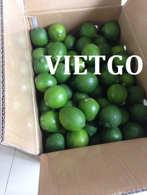 Chanh xanh - VIETGO