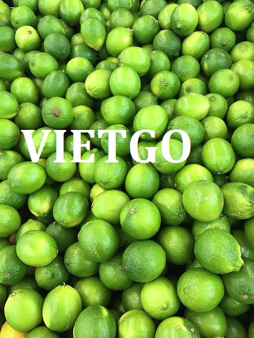 Chanh xanh - VIETGO
