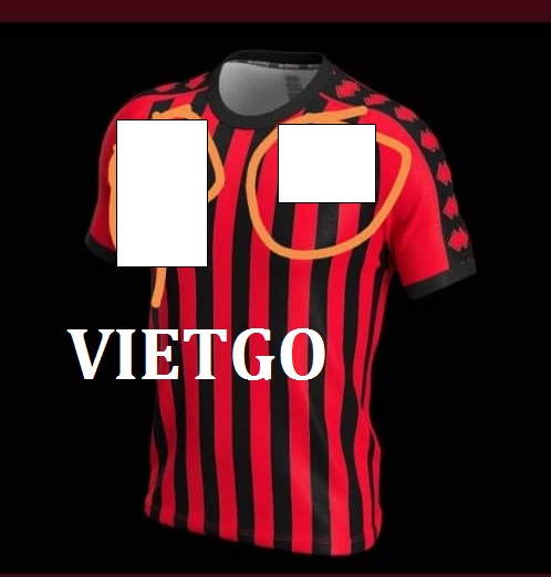 Áo t shirt - VIETGO