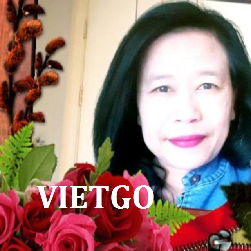 Cát biển - VIETGO